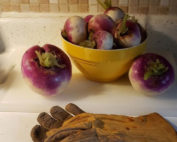picture of turnips and gloves on a kitchen counter