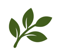 additional_services_transparent